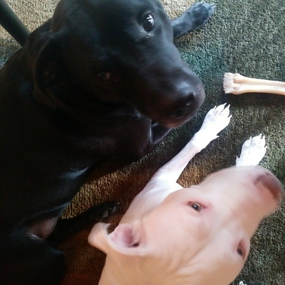 Welcome to my clothest - Picture 2 of 2